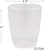 Santino 4.9 Inch ORCHIDEA Self Watering Pots for Orchids in Transparent - Decorative Wicking Planter with w/Great Aerification, Drainage and Water Level Indicator