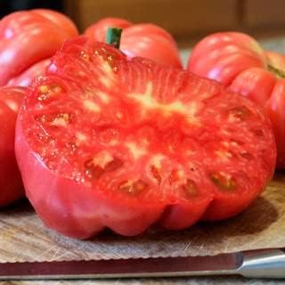 Park Seed Variety of Tomato Seeds, Planting Vegetables, Easy to Grow, Non-GMO, Perfect for Harvesting, Pink Delicious Tomato, Pack of 15