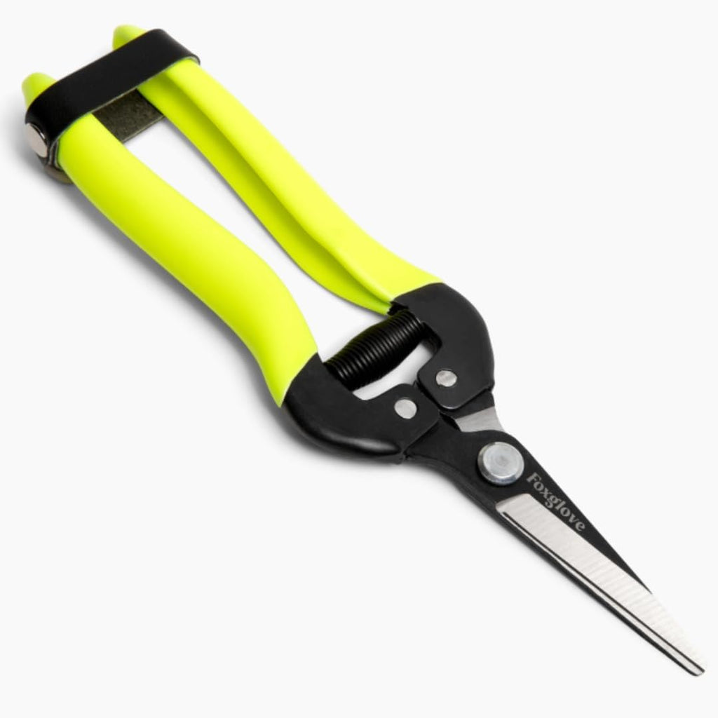 Foxglove Garden Scissors – Professional Pruning Shears for Gardening, Ultra-Sharp Garden Shears with Japanese SK5 Steel Blades, Ergonomic Gardening Shears & Garden Clippers for Flowers and Plants