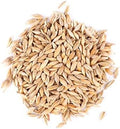 Thunder Acres Barley Seed - Certified Organic - Non-GMO (1/2 lb)