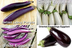 Please Read This is A Mix 30 Eggplant Mix Seeds 11 Varieties Heirloom Non-GMO Aubergine, Asian, European, Italian, White, Profilic, Super Delicious, from USA Solanum melongena