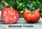Mixed Seeds 30 Giant Tomato Seeds, Mix of 19 Varieties, Heirloom Non-GMO, Brandywine Black, Red, Yellow and Pink, Mr. Stripey, Old German, Black Krim, from USA Solanum lycoperscium