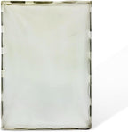 Dexter Lint Screen Replacement – Durable Frameless Dryer Lint Filters for Commercial & Residential Use (9822-026-001) - 19.25" x 32" (Pack of 5)