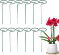 4/8/12 Pack Plant Stakes, 16/24/36 Inch Plant Support Stakes, 2025 New Plant Sticks Support, Flower Stakes for Plants Peony, Tomato Seedling, Marigold, Amaryllis, Sapling, Coreopsis (16 Inch-12 Pack)