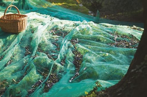 Green Plantation Fruit Collection Agricultural Harvesting Netting Walnut Olive Chestnut Apricot Hazelnut Net, 8x12m/26x40ft