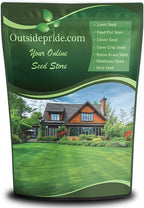 Outsidepride Midnight Kentucky Bluegrass Seed - 25 Lbs. Cold & Drought Tolerant, Sun-Loving Lawn Grass Seed, w/High Traffic Tolerance & Deep Root System, OptiGrowth Coated for Better Establishment