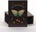 Bentley Pollinator Wildflower Mix, 25 Non-GMO Non-Coated Packets for Garden Planting, Help Butterflies and Pollinators, Beautiful Gift