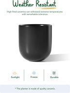 LE TAUCI 10 Inch Plant Pot, Ceramic Pots for Plants with Drainage Hole and Rubber Plug, Plant Pots Indoor for Olive Tree, Cylinder Planter Pot for Home Patio Office, Black