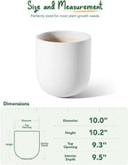 LE TAUCI 10 Inch Plant Pot, Ceramic Pots for Plants with Drainage Hole and Rubber Plug, Plant Pots Indoor for Olive Tree, Cylinder Planter Pot for Home Patio Office, White