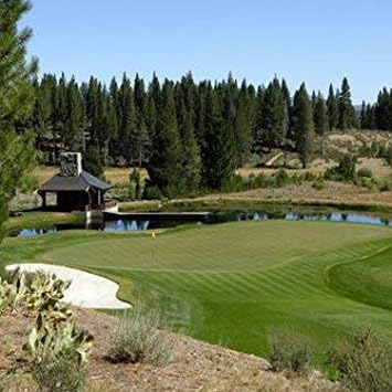 Outsidepride PC2.0 (Penncross) Creeping Bent Grass Seed – 1 lb. Premium Golf Course Grade, Dense, Wear-Resistant Turf Grass Seeds for Tees, Putting Greens & Fairways, Ideal for High Traffic Areas