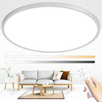 24 Inch Round Led Ceiling Light Fixture, Ultra Thin Flush Mount, Dimmable with Remote Control, 56W, 5600 Lumen, Modern, Silver, for Kitchen, Dining Room, Bedroom, Living Room, Home Office
