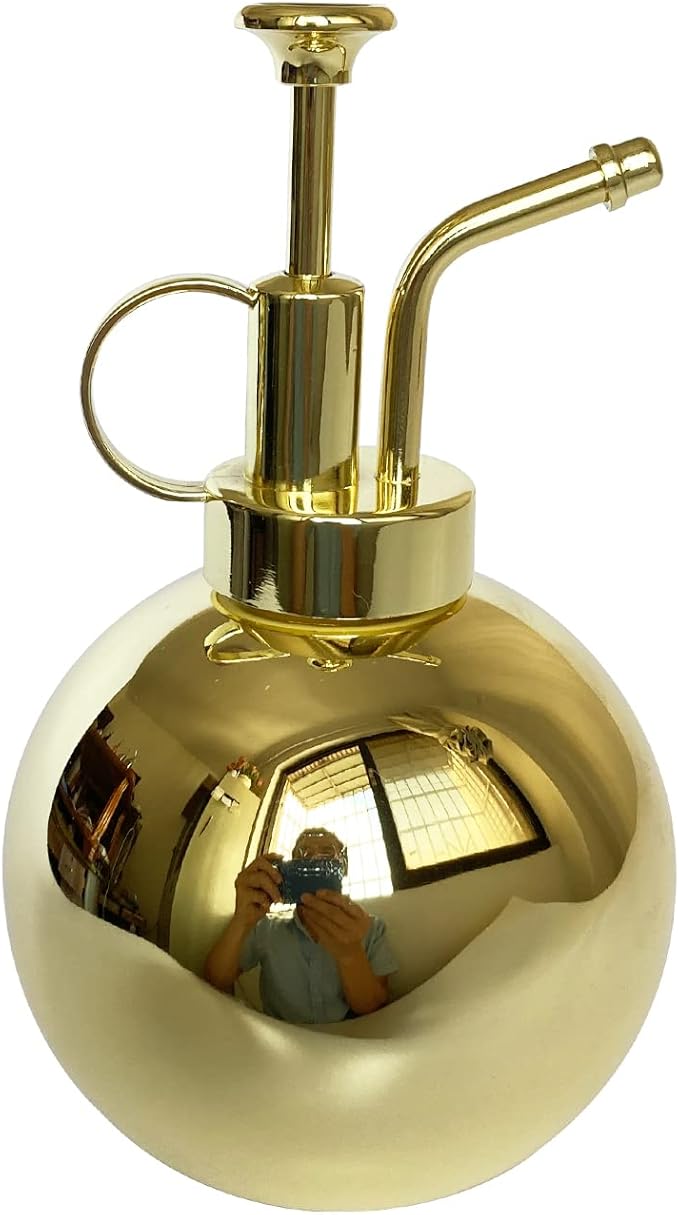 Stainless Steel Plant Sprayer, Small Watering Can, Modern Gardening Tool for Indoor Potted Plants, Gold Color