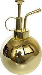 Stainless Steel Plant Sprayer, Small Watering Can, Modern Gardening Tool for Indoor Potted Plants, Gold Color