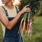 1500+ Rainbow Carrot Seeds for Fall Planting,Organic Heirloom Carrots Seeds Easy to Grow-Root Vegetable Seed for Fresh Eating & Juicing,in Gardens & Containers