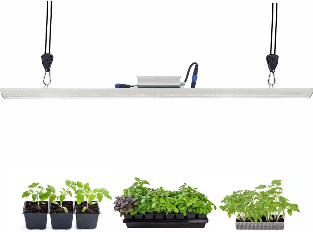 LED Grow Light Lamp for Indoor Plant Seedling Germination Vege Flower Growth,Full Spectrum CRI 90+ High Output White Light CCT 6500K,Isolated Dimming Driver with On/Off Switch,100 Watt,4Feet
