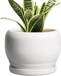 SQOWL Ceramic Flower Pots - 6 Inch Plant Pot Indoor Outdoor, Ceramic Planter with Drainage Hole and Saucer, Modern Round Succulent Planter, Bookshelf Decor, House Warming Gifts New Home, White