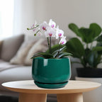 G EPGardening Ceramic Planter for Indoor Plants - 7 Inch Plant Pot, Round Planter with Drainage and Saucer, Round Flower Pots for Outdoor, Modern Desk Decor, Gift for Women Men, Green