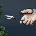 Wazakura Yasugi Steel Made in Japan Ashinaga Bonsai Scissors 8.2 in (210 mm), Bonsai Tree Pruning Shears, Japanese Gardening Tools