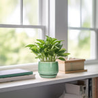 G EPGardening Ceramic Plant Pot - 4 inch Plant Pots with Drainage Hole & Saucer, Small Pots for Plant Indoor Outdoor, Modern Round Planter, Decorative Flower Pot, Room Decor, House Warming Gift, Green