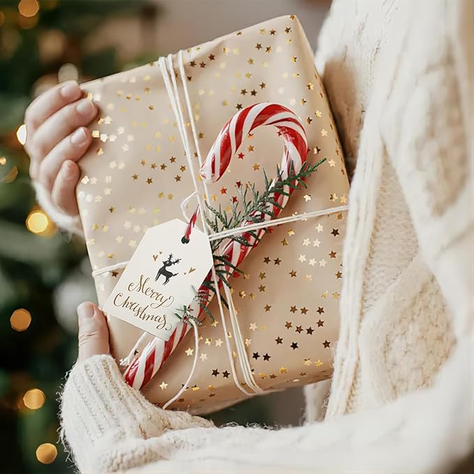 100 Pack Fashion Christmas Gift Tags， Xmas Fashion Gift Tags with Jute Twine Baker Twine for DIY Xmas Holiday Present Wrap Stamp and Label Package Name Card