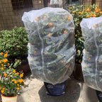 Agfabric Bird Netting 48" Hx55 W Garden Netting Insect Pest Barrier,Plant Cover Fruit Tree Netting Mesh Protection Bag with Drawstring,White,3 Pack