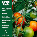 Park Seed Variety of Tomato Seeds, Planting Vegetables, Easy to Grow, Non-GMO, Perfect for Harvesting, Whopper CR Improved Hybrid, Pack of 250