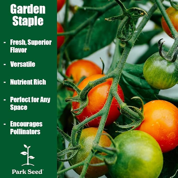 Park Seed Variety of Tomato Seeds, Planting Vegetables, Easy to Grow, Non-GMO, Perfect for Harvesting, San Marzano Organic, Pack of 30