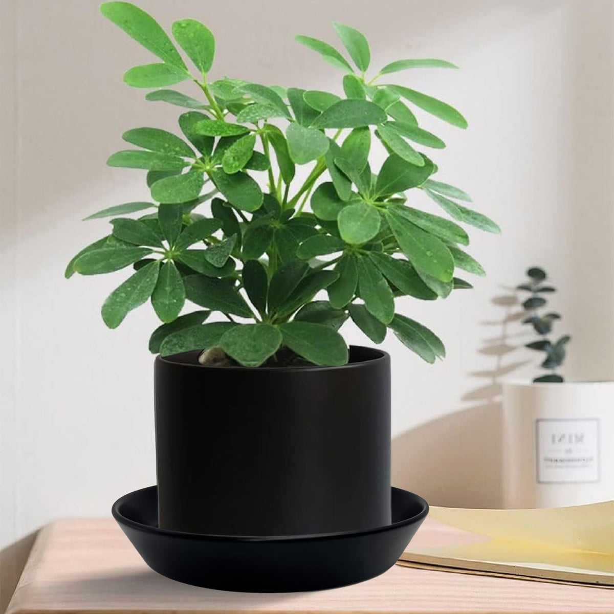 2 Pack 8 Inch Flower Pot Saucers - 9 Inch (8.7 Inch) Ceramic Plant Saucer for Outdoors & Indoors - Glazed Ceramic Plant Pot Trays for Water Drainage - Durable & Stylish Round Plant Tray