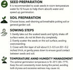 Mix Milkweed Seeds for Monarch Butterflies - 6 Individual Varieties Perennial Wildflower (120 Seeds per Pack) Colorful Pollinator Garden, Easy to Grow for Backyard & More (Mix Milkweed Seeds)