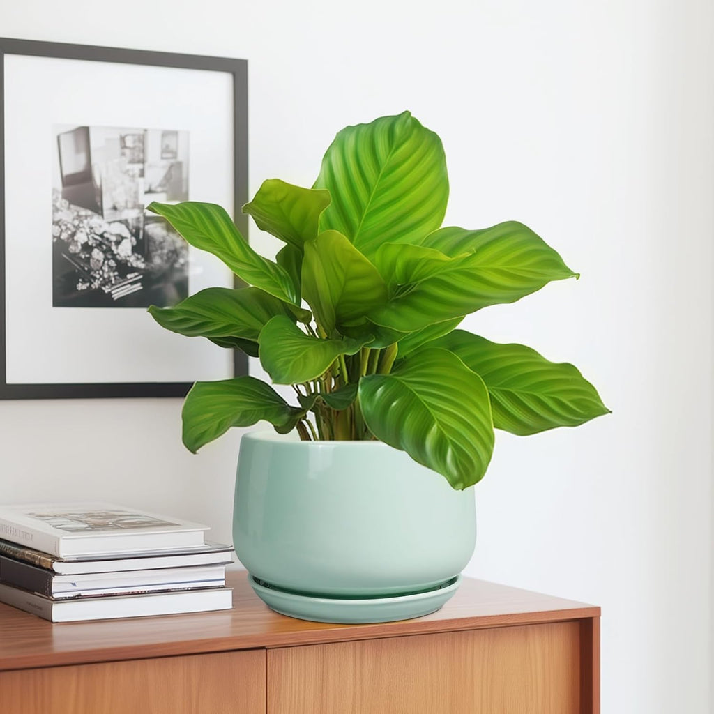 G EPGardening Ceramic Plant Pots - 7 Inch Planter for Indoor Outdoor Plants, Ceramic Planter with Drainage and Saucer, Round Modern Flower Pots, House Decor, Gift for Men Women, Green