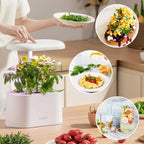 inbloom Herb Seed Pods Kit for AeroGarden, 7-Pods with Basil, Cilantro, Parsley Seed Hydroponic Growing System Kit, Seeds Starter Pod for idoo, Ahopegarden Gardening Supplies