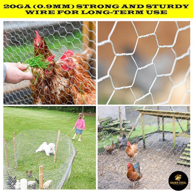 Chicken Wire 18 in x 50 FT x 2” Mesh x 20GA | Poultry Wire Netting | Hot Dipped Galvanised | Hexagonal Galvanized Mesh for Chicken Coop, Rabbit Cage, Fence Barrier PM18x50x2