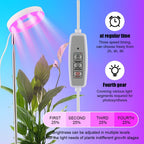 11 Inch Plant Pots with 2 x LED Grow Lights for Indoor Plants and 1 x Soil Moisture Meter - Complete Indoor Plant Care Set, 2 Pack Flower Pots with Drainage Holes and Plug, Gray