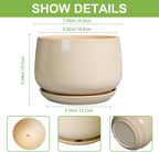 G EPGardening Ceramic Planter - 7 Inch Plant Pots with Drainage and Ceramic Tray, Flower Pots for Indoor Plants, Round Outdoor Planter, Room Decor, Gifts for Plant Lovers, Beige