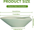 Bonsai Pot - 12 Inch Ceramic Planter Pot with Drainage Hole Large Modern Planter Decorative Glazed Succulent Plant Pot for Indoor Outdoor Plants Green