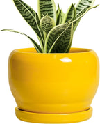 SQOWL 6 Inch Plant Pot - Ceramic Planter with Drainage Hole and Saucer, Modern Ceramic Flower Pots for Indoor Plants Outdoor, Round Decorative Small Planter, Desk Decor, Garden Gifts, Yellow