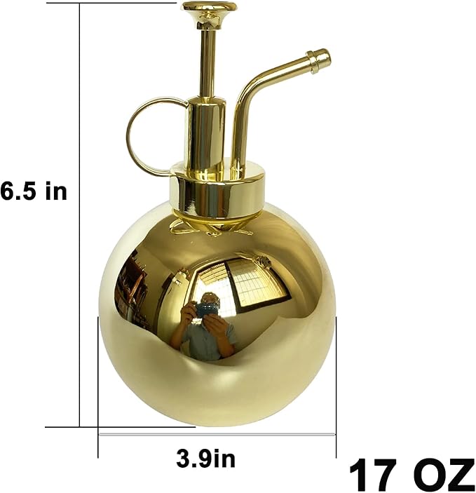 Stainless Steel Plant Sprayer, Small Watering Can, Modern Gardening Tool for Indoor Potted Plants, Gold Color