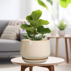 G EPGardening Ceramic Plant Pots - 9 Inch Round Planter, Ceramic Flower Pots with Drainage and Saucer, Modern Indoor Outdoor Planter, Room Decor, Home Gifts, Beige