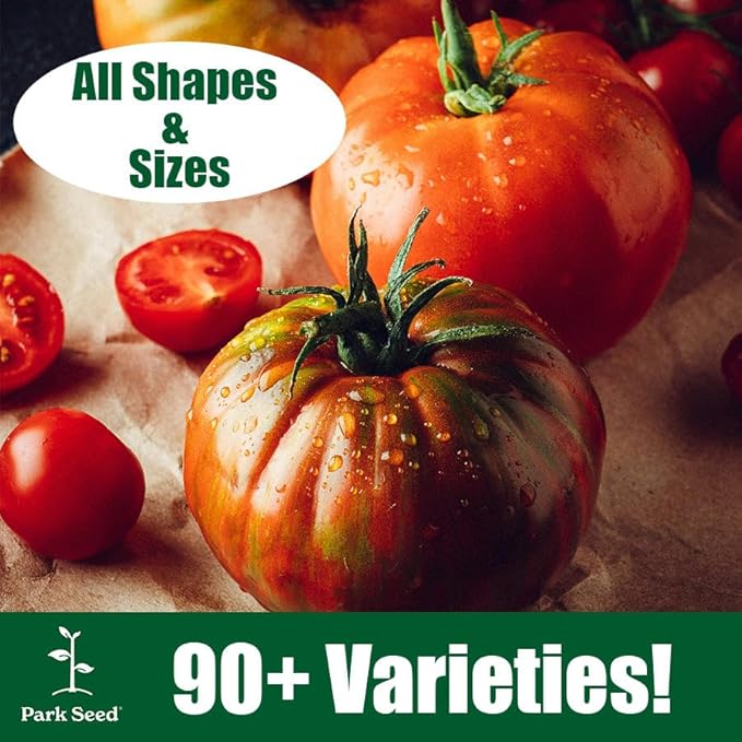 Park Seed Variety of Tomato Seeds, Planting Vegetables, Easy to Grow, Non-GMO, Perfect for Harvesting, Beefmaster Hybrid, Pack of 250