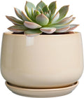 G EPGardening Ceramic Pot for Plants - 6 Inch Planter with Drainage and Ceramic Saucer, Flower Pots for Indoor Plants, Modern Outdoor Planter, Home Decor, Gift for Women Men, Beige