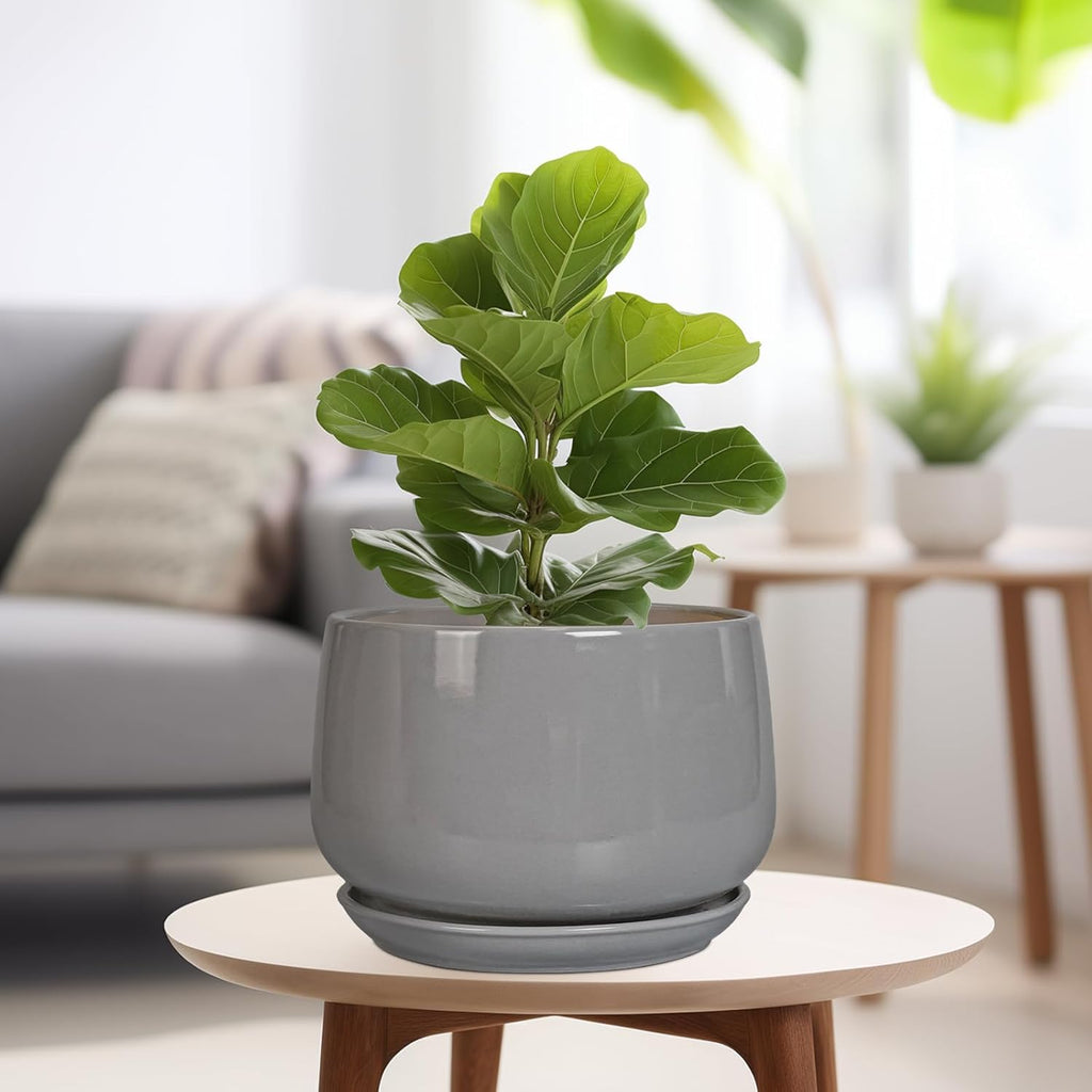 G EPGardening Ceramic Plant Pots - 9 Inch Modern Round Planter with Drainage and Plant Saucer for Indoor Outdoor Flower, Apartment Decor, Birthday Gifts, Grey