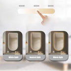 Wall Mirror Arched Bathroom Mirrors, 3-Color Lighted Bathroom Makeup Mounted Mirror, with Demister Pad, Dimming Function for Bathroom Living Room Bedroom Entryway(23.6"x39.3"/60x100cm)