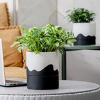 Nihow Self Watering Plant Pot: 6 Inch Ceramic Planter with Drainage Hole & Water Storage Plus for Indoor & Outdoor Plants - Cylinder Round Flower Pot for Succulent/Herbs/Violets - White & Wave Black