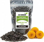 100 Teddy Bear Sunflower Seeds for Planting – Ultra-Fluffy Golden Blooms with Round Heads – Perfect for Gardens, Containers, and Pollinator-Friendly Landscaping - Unique and Fun