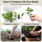 inbloom Gourmet Herb Seed Pod Kit for AeroGarden, iDoo, Ahopegarden with Basil, Parsley, Cilantro, Chrysanthemum, Pak Choi, Crystalline Ice Plant, Onion, Hydroponics Growing System Supply (12-Pod)