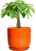 7 Inch Plant Pot - Ceramic Planter with Drainage Hole and Saucer, Modern Round Ceramic Flower Pot for Indoor Outdoor Plants, Plant Lover Gifts, Home Garden Office Decor, Orange