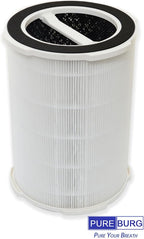 PUREBURG Replacement Filter Compatible with Ganiza G200S G200 Air Purifiers,2-Pack H13 HEPA 4-Stage Filtration Activated Carbon Air Clean Dust