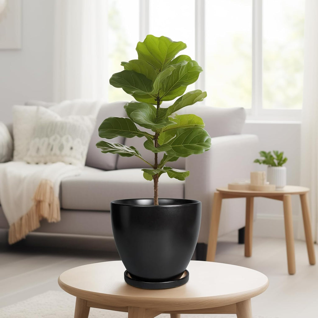 8 Inch Plant Pot - Ceraimc Planter for Indoor Outdoor Plants, Round Flower Pots with Drainage and Tray, House Decor, Black
