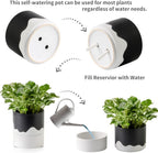 Nihow Self Watering Plant Pot: 6 Inch Ceramic Planter with Drainage Hole & Water Storage Plus for Indoor & Outdoor Plants - Cylinder Round Flower Pot for Succulent/Herbs/Violets - Black & Wave White