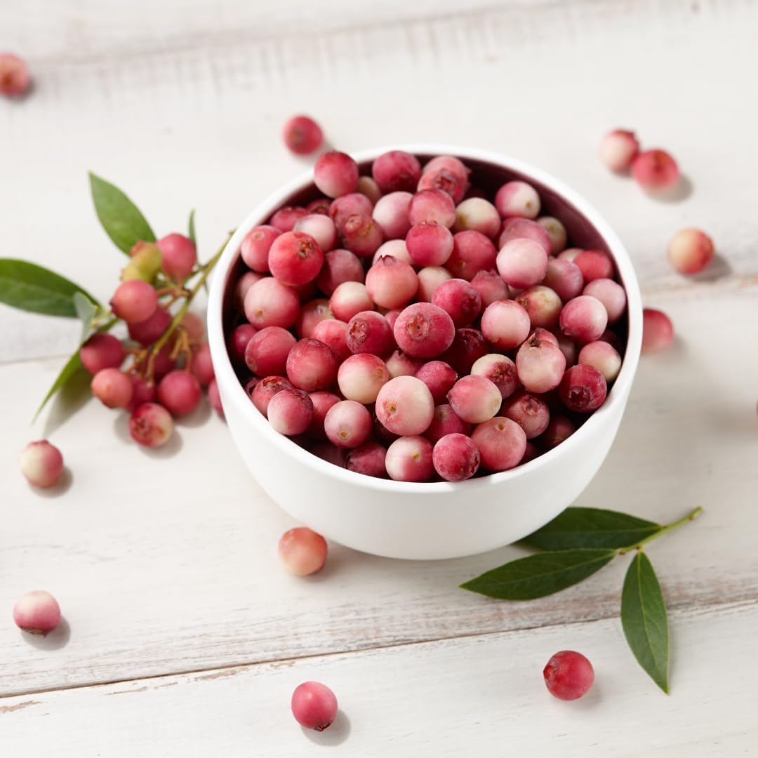 Pink Lemonade Blueberry (Pink Lemonade)
